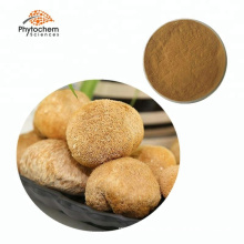 Provide edible and supplement Hericium erinaceus extract, Lion's mane extract or powder hot sale